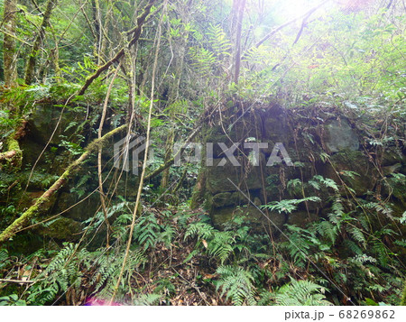 猪八重渓谷 猪八重渓谷 68269862
