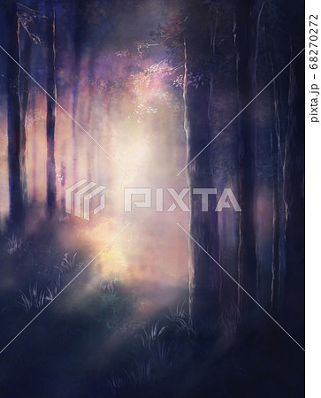 夜明けの森の風景イラストのイラスト素材
