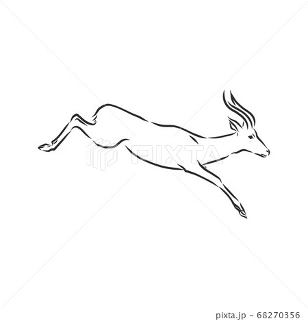 antelope sketch vector graphics black and white drawing antelope sketch vector graphics black and white drawing 68270356