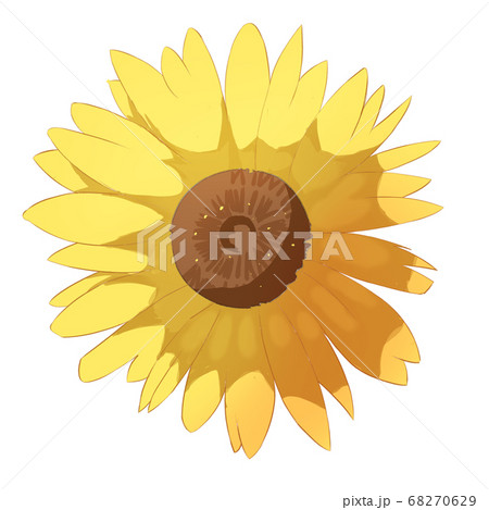 向日葵の花 68270629