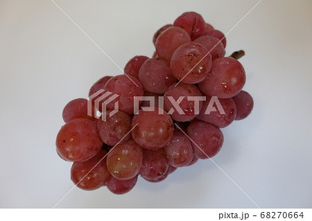 ぶどう　ブドウ　葡萄　シナノ・スマイル 68270664