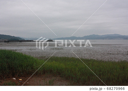 干潟 風景 海藻 68270966