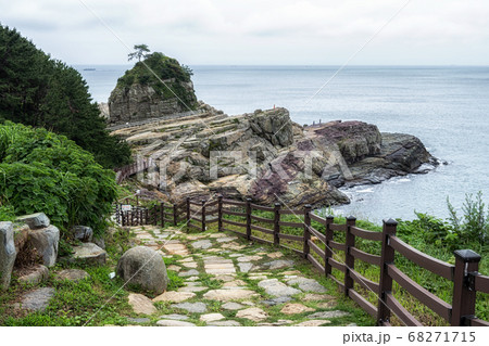 Road to Sinseondae cliffs 68271715