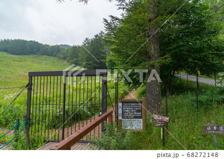入笠花畑の出入り口（入笠山） 68272148