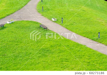 草原イメージ（8月） 68273186