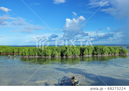 解放的な青空の海辺で自粛生活を吹き飛ばし南国気分に浸る 68273224
