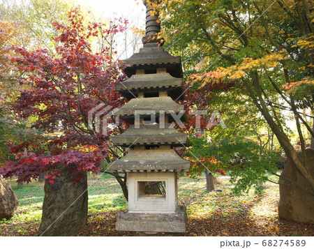 九品仏浄真寺 紅葉と石塔 九品仏浄真寺 紅葉と石塔 68274589