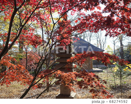 九品仏浄真寺 紅葉と石塔 九品仏浄真寺 紅葉と石塔 68274592