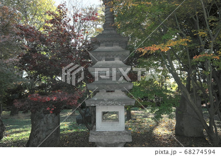 九品仏浄真寺 紅葉と石塔 九品仏浄真寺 紅葉と石塔 68274594