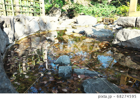 九品仏浄真寺 池泉庭園 九品仏浄真寺 池泉庭園 68274595