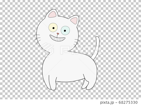 白ネコ　オッドアイ 68275330