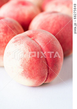 桃・白桃×白鳳＝あかつき 68275649