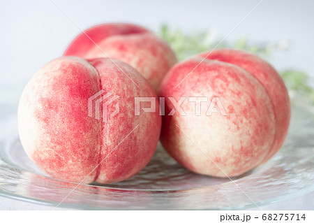 桃・白桃×白鳳=あかつき 桃・白桃×白鳳=あかつき 68275714