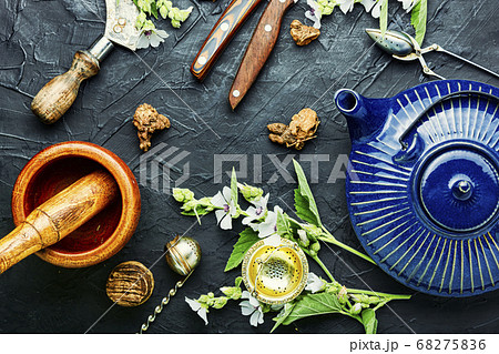 Althaea in herbal medicine 68275836