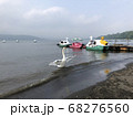 水辺のスワンボート乗り場にいる白鳥が羽を広げているところ 68276560