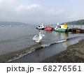水辺のスワンボート乗り場にいる白鳥が羽を広げているところ 68276561