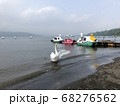 水辺のスワンボート乗り場にいる白鳥が羽を広げているところ 68276562
