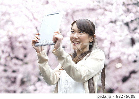 タブレットPCで桜の写真を撮る女性 タブレットPCで桜の写真を撮る女性 68276689
