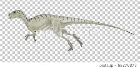 恐龍異齒龍（恐龍）在南非的侏羅紀早期形成中發現。雄性有類似狗的犬。 68276878