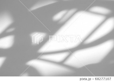 Organic drop shadow on a white wall 68277107