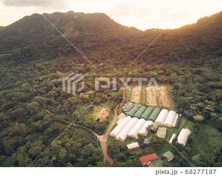 Big hangar in cacao plantation 68277187