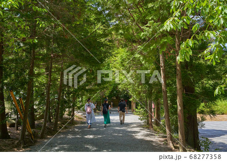 縁結びの神様 松江市八重垣神社 鏡の池に向かう参道 68277358