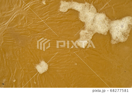 Close-up of beeswax melted from honeycomb. Close-up of beeswax melted from honeycomb. 68277581