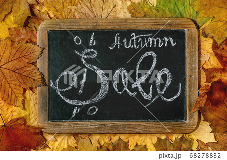 Autumn sale concept Autumn sale concept 68278832