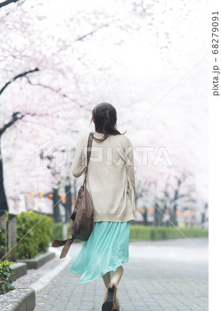 花見をする女性 花見をする女性 68279091