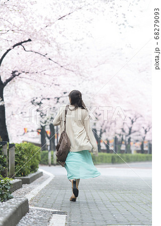 花見をする女性 花見をする女性 68279093