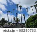 ヤシの木 空 風景 68280733