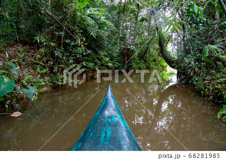 A boat ride on the water in the rainforest on the 68281985