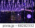 イルミネーション 68282332