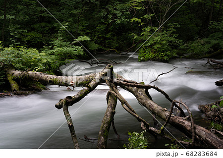 奥入瀬渓流 68283684
