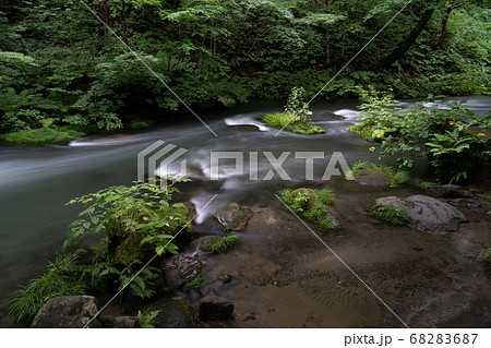 奥入瀬渓流 奥入瀬渓流 68283687