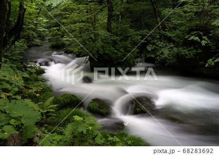 奥入瀬渓流 奥入瀬渓流 68283692