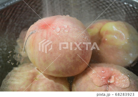 フルーツ 果物 果実 68283923