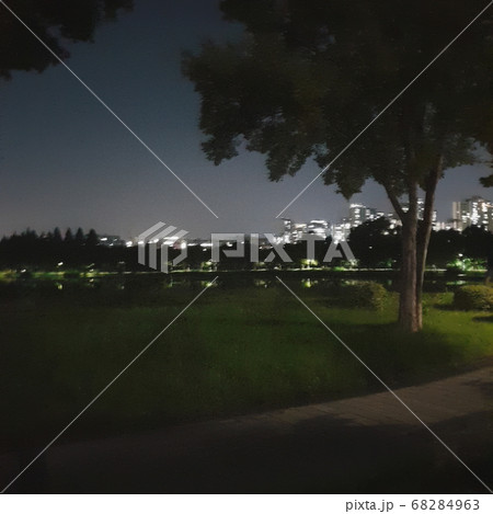 夏 樹木 屋外 68284963