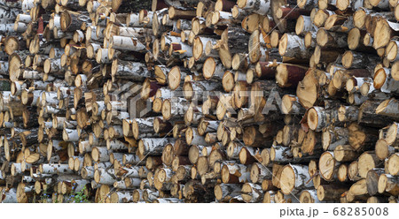 Pile stacked natural sawn wooden logs background. 68285008