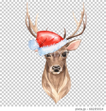 Deer with red Santa hat. Watercolor 68285014