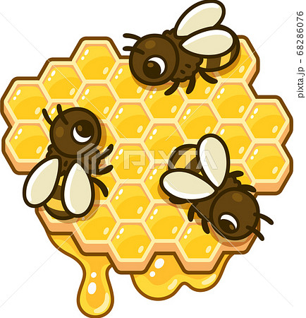 Honey bee insect cartoon Royalty Free Vector Image