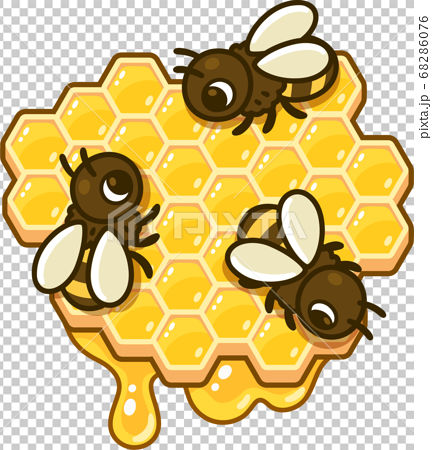 Cartoon honey bee on honeycomb - Stock Illustration [68286076] - PIXTA