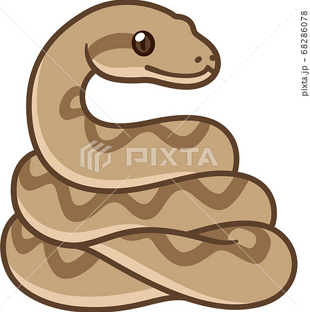 Cartoon snake drawing - Stock Illustration [68286078] - PIXTA