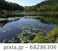 高原のスイレン 68286306