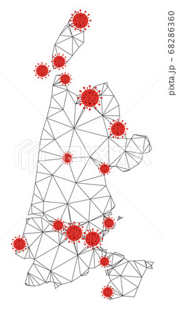 Polygonal Carcass Mesh Vector North Holland Map with Coronavirus Polygonal Carcass Mesh Vector North Holland Map with Coronavirus 68286360