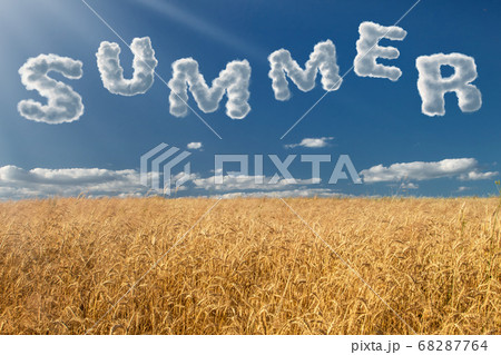 Beautiful summer unreal landscape 68287764