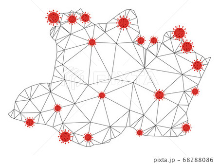 Polygonal Wire Frame Mesh Vector Amazonas State Map with Coronavirus 68288086