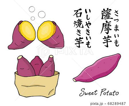 薩摩芋と焼き芋のセットのイラスト素材 6487