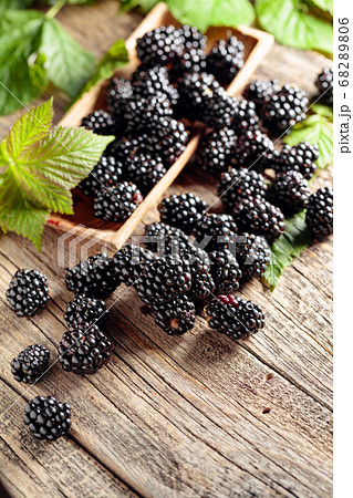 Ripe juicy blackberries with leaves on a wooden Ripe juicy blackberries with leaves on a wooden 68289806