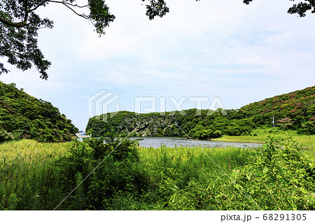 湘南三浦半島の原風景入り江小網代湾の夏 湘南三浦半島の原風景入り江小網代湾の夏 68291305